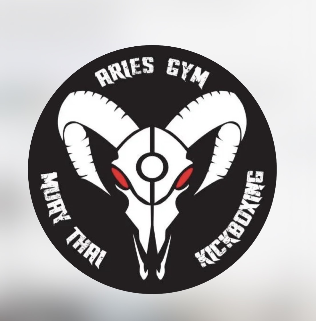 Logo Aries Gym