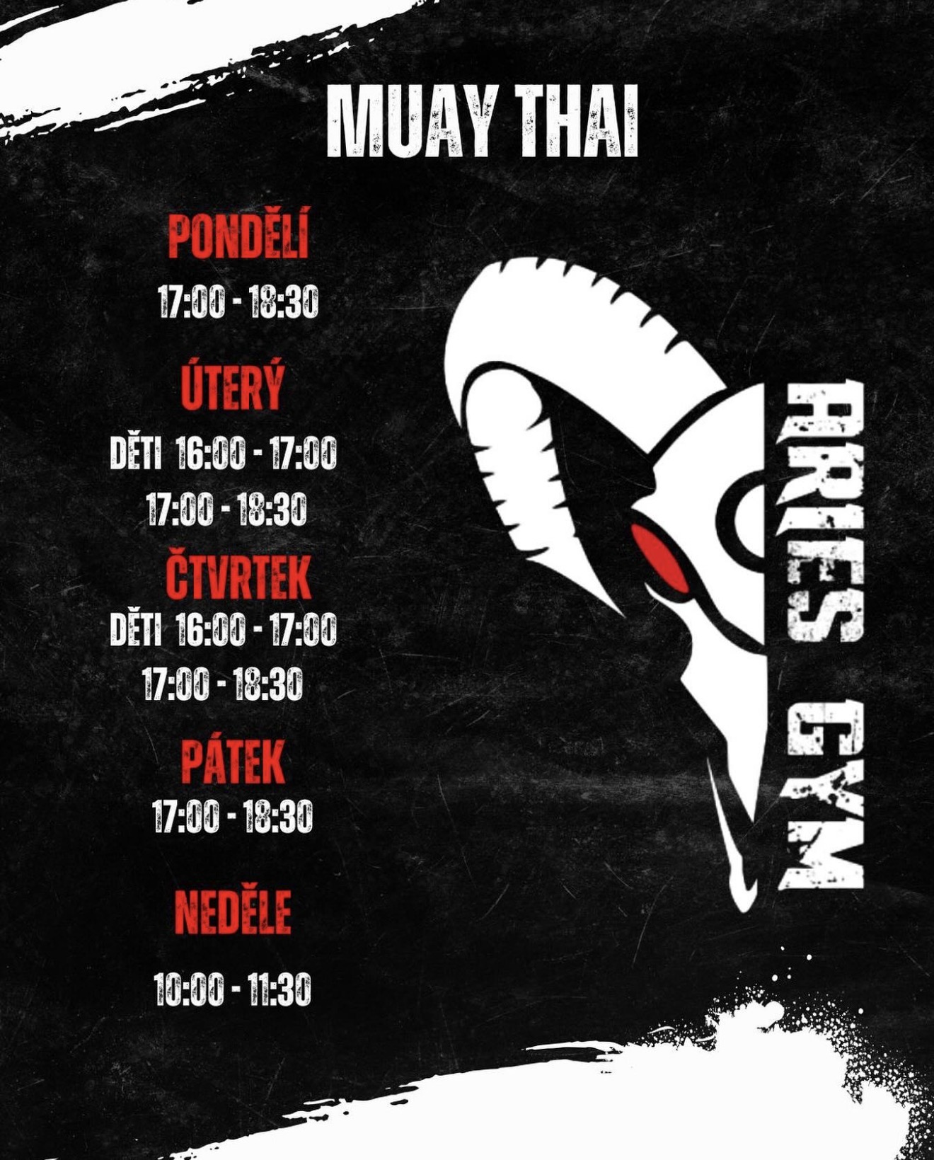 Rozpis veřejných lekcí Muay Thai v Aries Gym